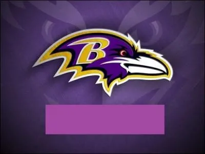 À quelle équipe appartient ce logo ?