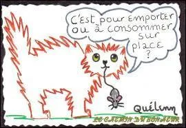 Je suis sûre que vous allez trouver les sens de celle-ci : "Emporter le chat".