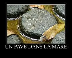 "Un pavé dans la mare", d'après-vous, quel est le sens de cette expression ?
