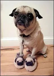 "Tenir les pieds d'une personne au chaud", qu'est-ce que cela peut vouloir dire ?