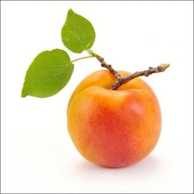 Comment dit-on un "abricot" en anglais ?