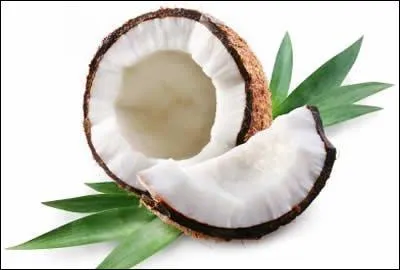 Comment dit-on une "noix de coco" en anglais ?