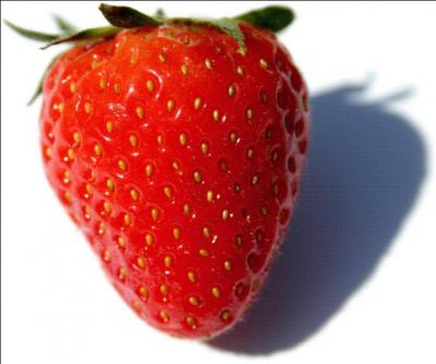 Comment dit-on une "fraise" en anglais ?