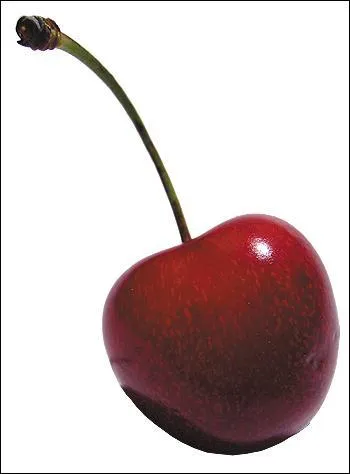 Comment dit-on une "cerise" en anglais ?