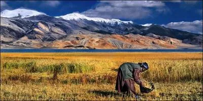 Sur lequel de ces pays la chaîne montagneuse de l'Himalaya ne s'étend-elle pas ?