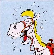 Quel point commun y a t-il entre un homme, un cheval et un diamant pour être appréciés d'une femme ?