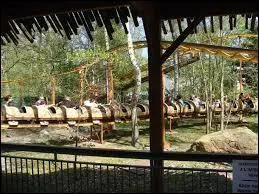 Combien y a-t-il de coaster pour les enfants (ex : Oz Iris n'est pas un coaster d'enfant de - de 6 ans) ?