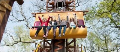 Quelles attractions appartiennent à la forêt d'Idéfix ?