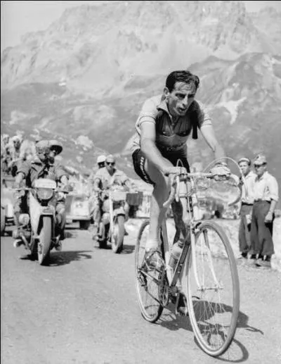 Pour celui-ci, je ne vous dirai qu'un seul mot : héron.