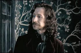 Qui est Sirius Black ?