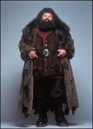 Qui est Rubeus Hagrid ?