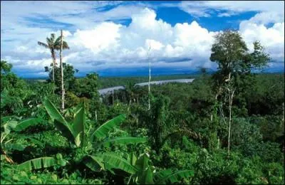 La Guyane est le plus grand département français. Quel pourcentage de la surface de la France métropolitaine représente-t-elle?
