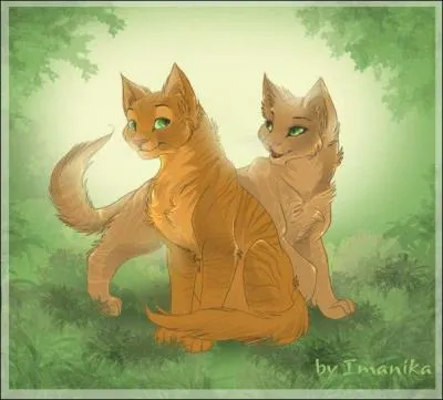 Que dit Poil d'Écureuil qui bouleverse les quatre autres chats lors de l'incendie ?