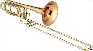 Quel instrument à vent est représenté sur la photo ?