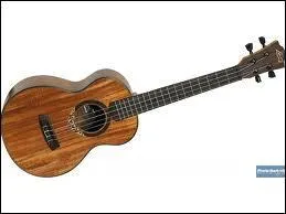 Quel instrument à cordes est représenté sur la photo ?