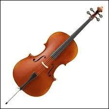 Quel instrument à cordes est représenté sur la photo ?