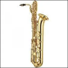 Quel instrument à vent est représenté sur la photo ?