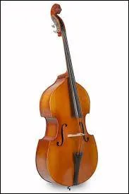 Quel instrument à cordes est représenté sur la photo ?