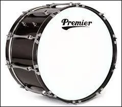 Quel est cet instrument de musique ?