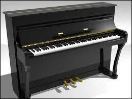 Quel est cet instrument de musique ?