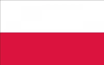 A quel pays correspond ce drapeaux ?