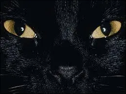 N'ayez pas peur de laisser grimper l'araignée sur vos vêtements pour être :