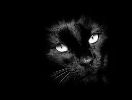 Pourquoi, en France, ne faut-il jamais croiser deux couteaux ou un couteau et une fourchette sur une table ?