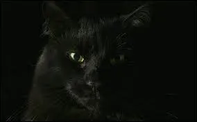 Balayer devant sa porte :