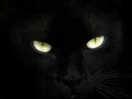 En Occident, faire un noeud avec ses cheveux et ceux de l'être convoité favorise :