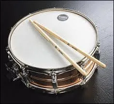 C'est l'élément le plus important de l'instrument à la question 1. Comment s'appelle-t-elle ?