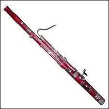 Quel est cet instrument de musique ?