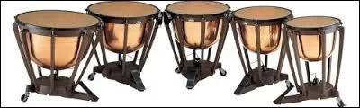 Comment s'appellent ces percussions ?