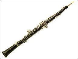 Quel est cet instrument de musique ?