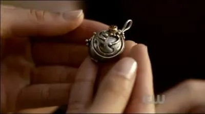 A qui appartient ce collier ?