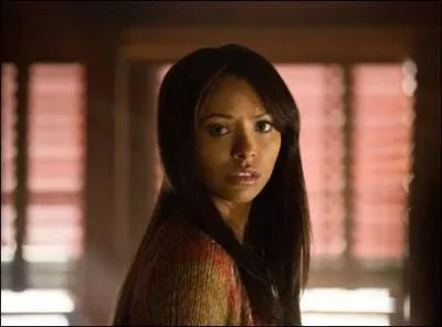 Que ressent Bonnie lorsqu'elle touche Stefan ?