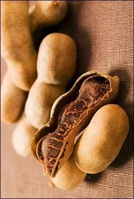 Les Malgaches aiment consommer la pulpe acidulée de ce fruit en gousse. Portant aussi le nom d'un petit singe d'Amérique du Sud, ce fruit est le :