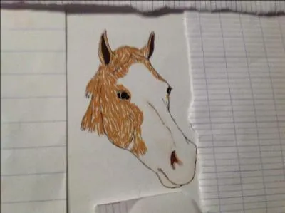 Comment s'appelle cette liste ?