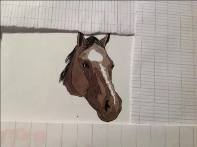 Comment s'appelle cette liste ?