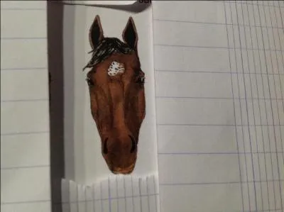 Comment s'appelle cette liste ?