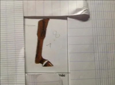 Comment s'appelle cette balzane ?