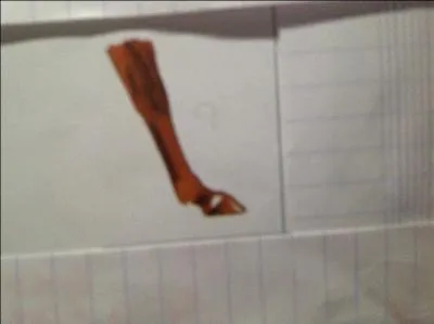 Comment s'appelle cette balzane ?