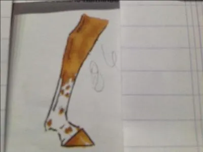 Comment s' appelle cette balzane ?