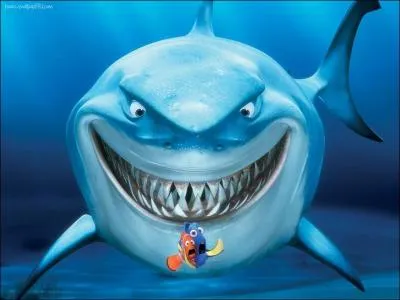 Quelle est la devise des membres des 'requins anonymes' ?