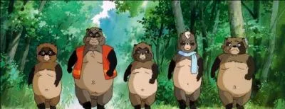 Pourquoi les tanuki sont-ils ainsi sur le sentier de la guerre ?
