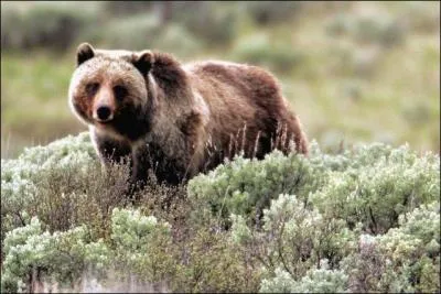 Quel est le plus grand parc national du monde ?