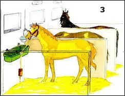 "Les centre équestre".
Quelle est cette pièce ?