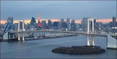 Quelle est la plus grande ville du monde ?