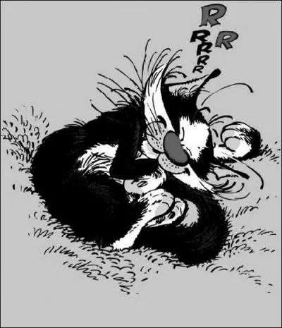 Comment nomme-t-on le chat de Gaston ?