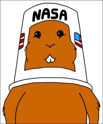 Et celui de son hamster ?