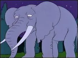 Bart a gagné cet éléphant lors d'un jeu à la radio. Comment s'appelle-t-il ?